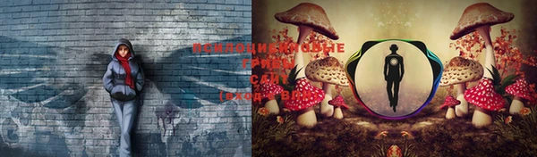 герыч Медвежьегорск