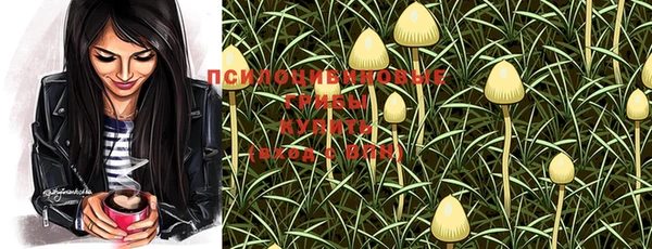 PSILOCYBIN Магадан