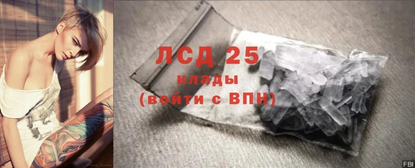 спиды Медногорск