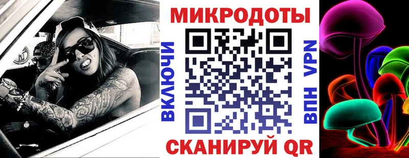 Купить где Очёр Псилоцибиновые грибы мицелий